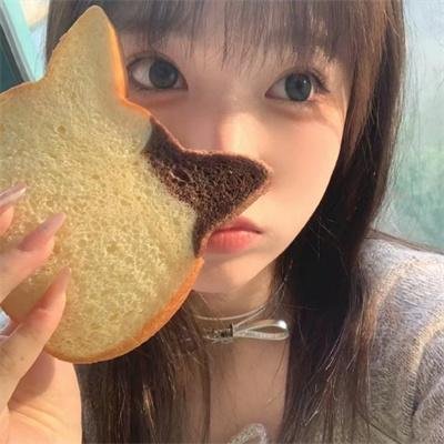 灵性的动物